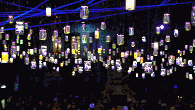 31.gif