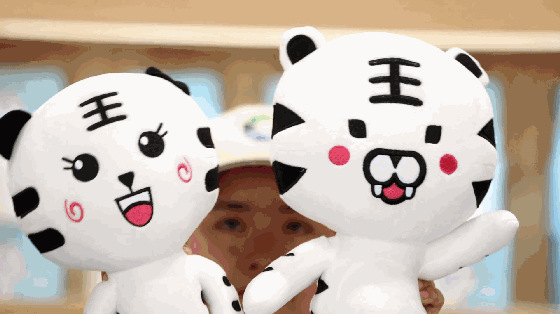 6.gif