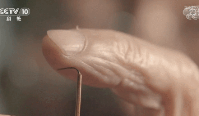 1.gif