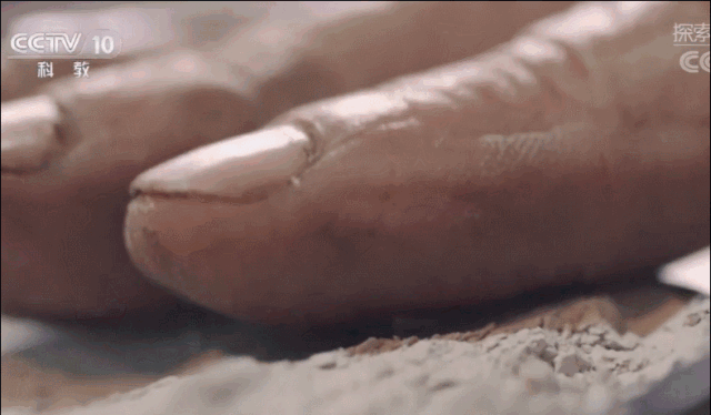 24.gif