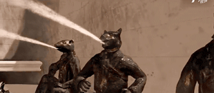 40.gif