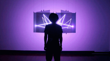 50.gif