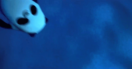 20.gif